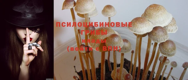 молекула духа Медногорск