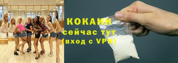 молекула духа Медногорск