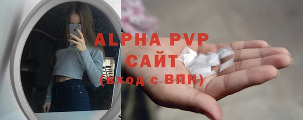 PSILOCYBIN Михайлов