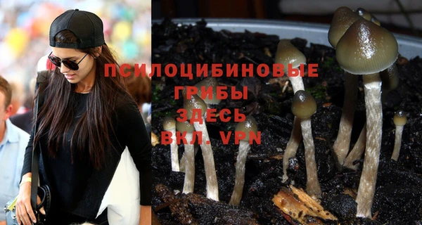 молекула духа Вяземский