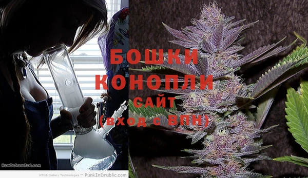 PSILOCYBIN Михайлов