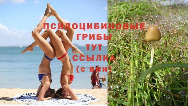 соль ск Мегион