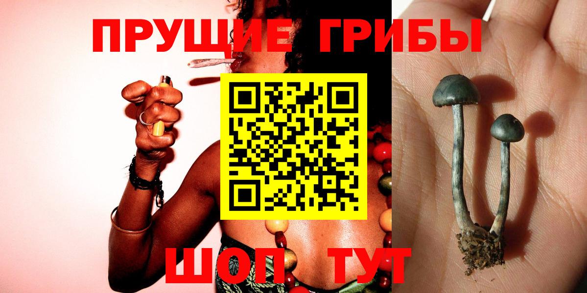 Псилоцибиновые грибы мухоморы  Изобильный  Псилоцибиновые грибы мухоморы 