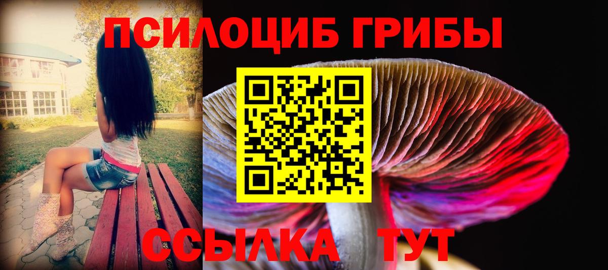 Псилоцибиновые грибы Psilocybine cubensis  Вход с VPN  Изобильный  Псилоцибиновые грибы Magic Shrooms 